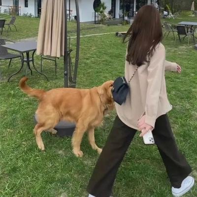 吸血鬼猎人巴菲第四季